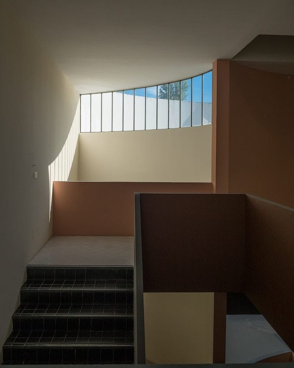 Tips for Installing a Green Living Wall in an Urban Apartment?